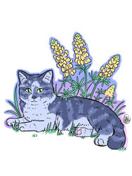 A Christmas present for a friend [2022]